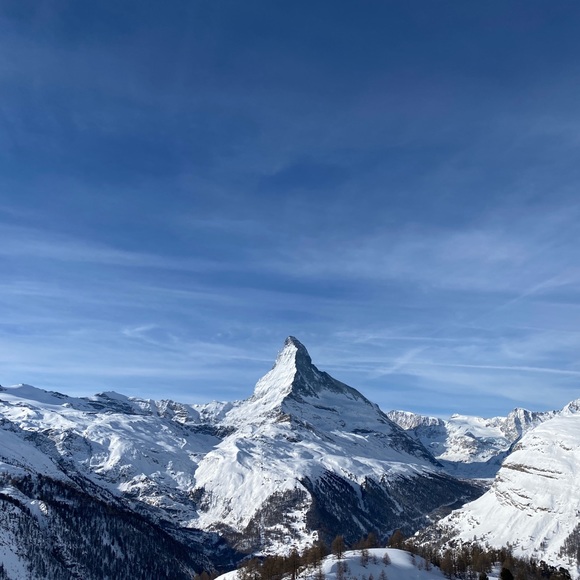 Meet your Posher, Meredith - Picture 1 of 1